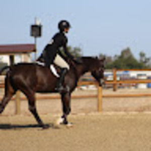 Meet your Posher, Mollie